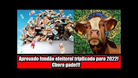 Aprovado fundão eleitoral triplicado para 2022! Chora gado!!