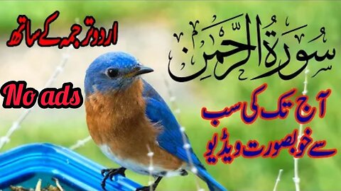 Surah Rahman With wrdu Translation | A Tribute To Qari Abdul Basit | Surah Ar Rahman