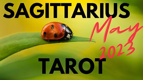 SAGITTARIUS- 🤝💆🏼Working with others, honouring yourself! #sagittarius #tarot #tarotary #may