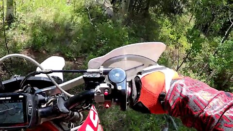 2012 GasGas EC300 - Singletrack Part 1