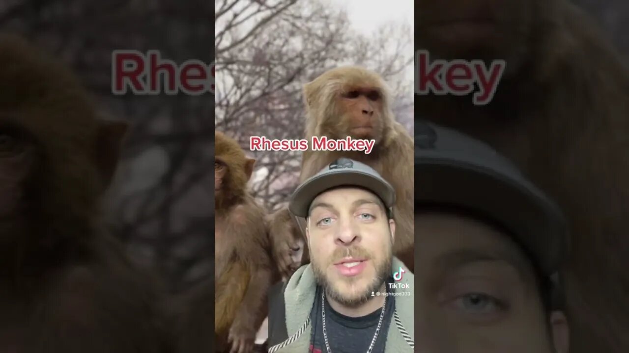 Tiktok mix 2022