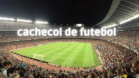 Comemore com um cachecol da Copa do Mundo do Brasil
