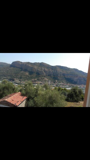 My cockatiel wakes me up at night