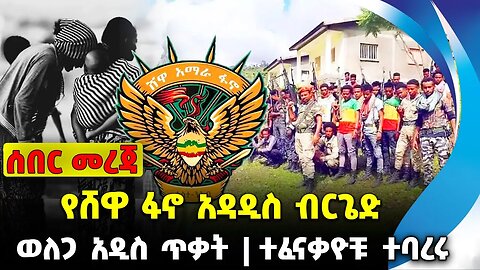 የሸዋ ፋኖ አዳዲስ ብርጌድ❗️ ወለጋ አዲስ ጥቃት❗️ተፈናቃዮቹ ተባረሩ❗️#ethio360#ethio251#fano | Shewa Fano || News Oct 5 2023