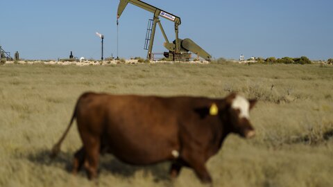 U.N. Weather Agency: Greenhouse Gases Reach New Record