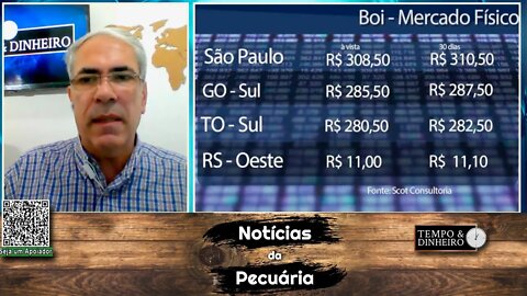 Boi gordo encerra abril pressionado pela safra mas com força na exportação