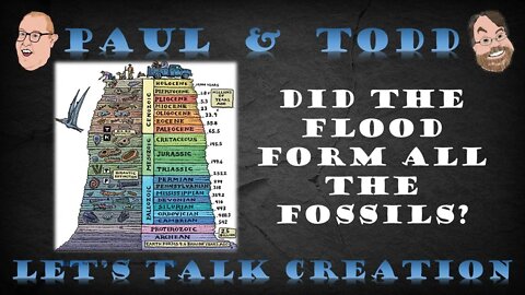 Episode 27 CLIP: Did the Flood Form All the Fossils?