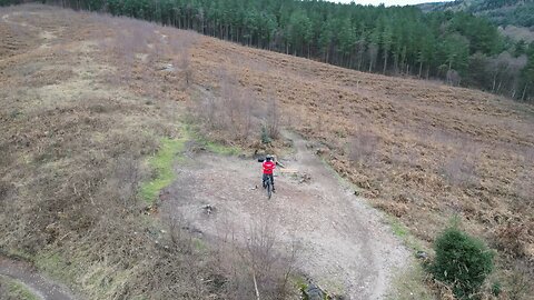 Cannock Chase Over the Rainbow Viet