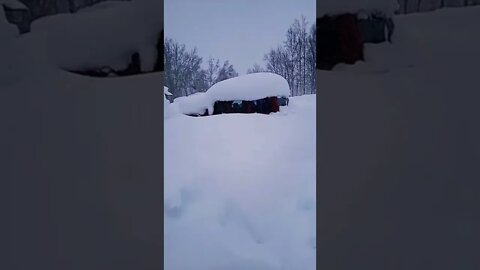 FFS