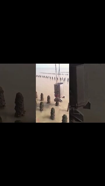 #shorts #2022 funny,prank,funjokes,dad jokes,funny memes,funny video,fun,laughing,funny animal,knock