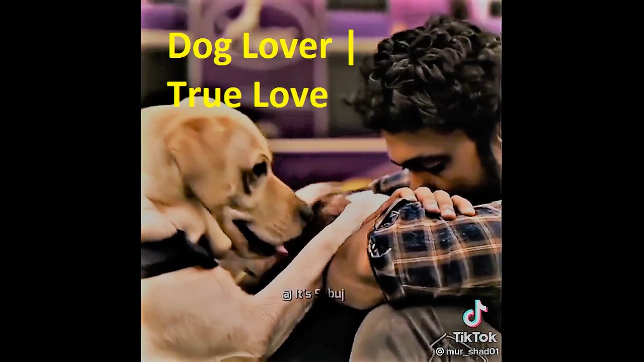 Dog Lover | True Love with Dog | Pet Lover