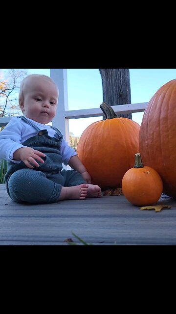 A Boy and Acorn and a Pumpkin