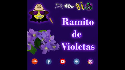 Ramito de Violetas