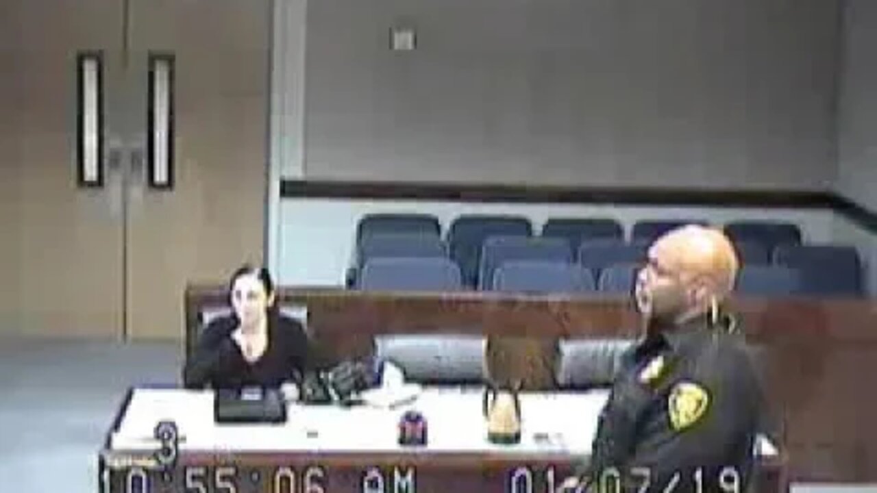 Ramsey and Goble matter Clark County Family Court Judge Cheryl Moss 01 07 19 2