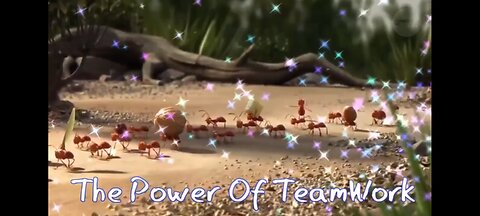 The Power of Teamwork