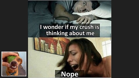 Memes That Will 99.828% Make You Laugh. (e53)