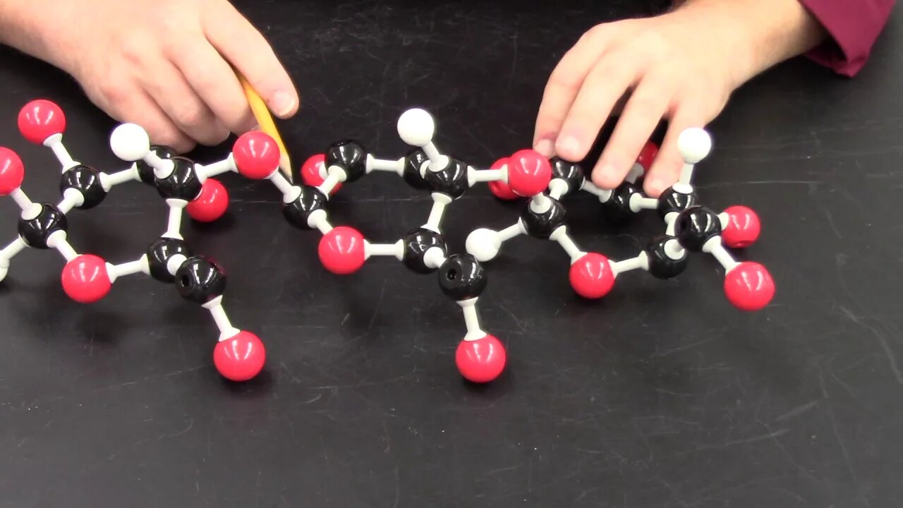 CHM1032L Instructional Video Experiment 11 - Carbohydrates