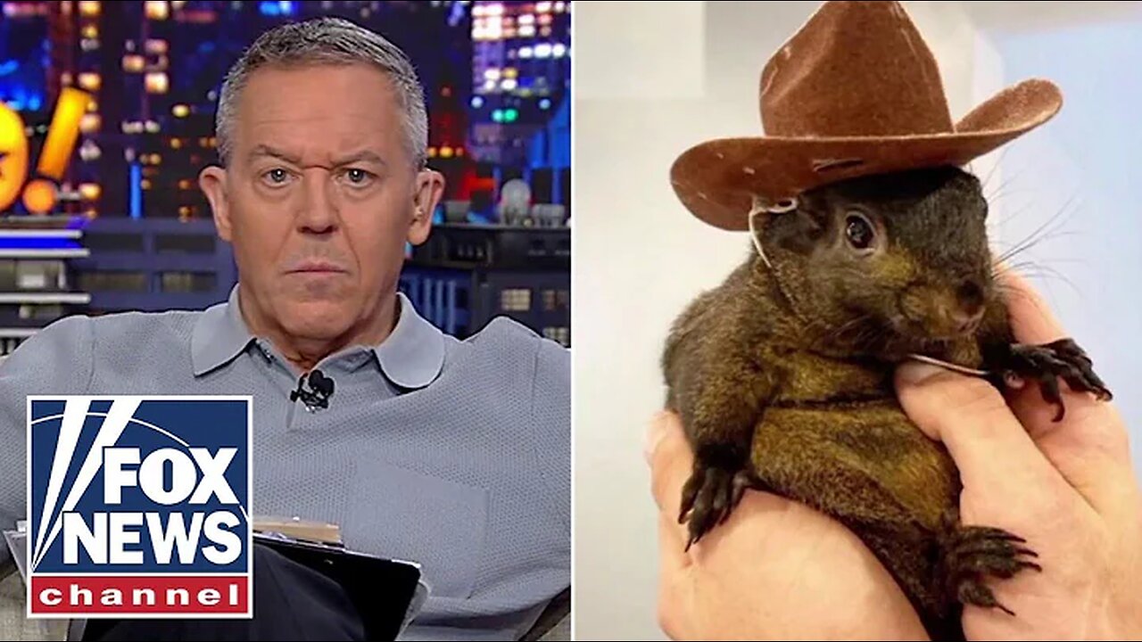 Gutfeld: Did this little squirrel just red pill America?