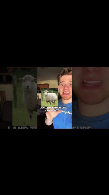 TRUE STORY IRL MIRACLE PROOF OF GOD