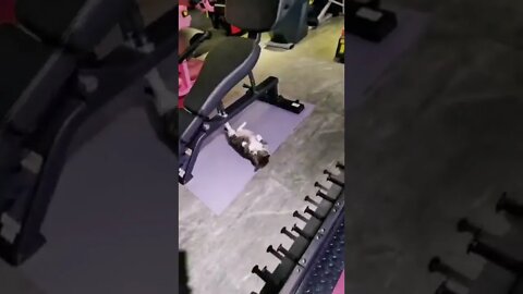 O gato fitness 🤣🤣