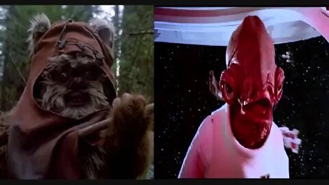 It's A Trap (Murder Bear Song)