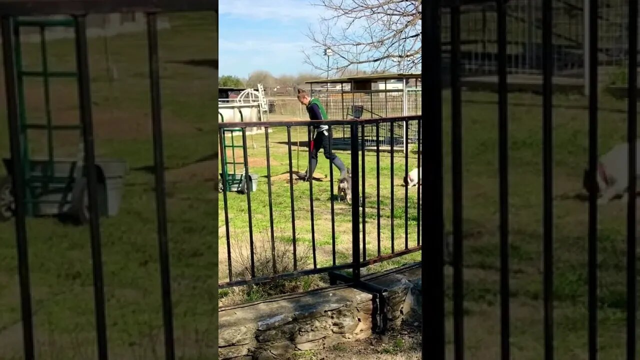 This is going to take FOREVER! 👩‍🔧😂 #shorts