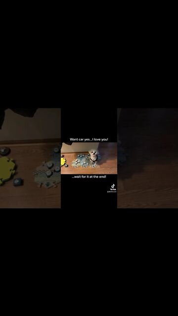 The “outside” at the end, lol! Mahal uses “I love you” as thank you.