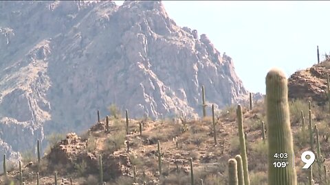 Local group provides no-cost rescues