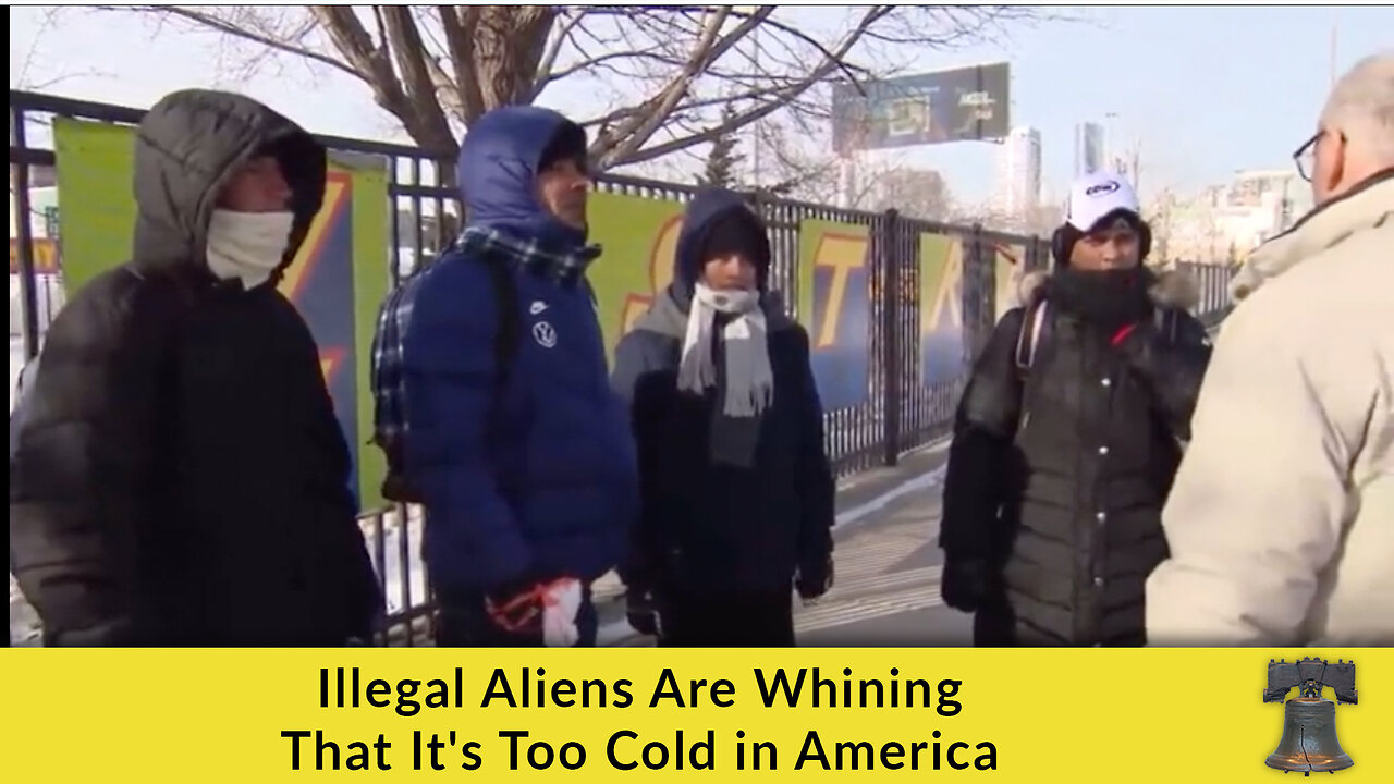 Illegal Aliens Are Whining That It's Too Cold in America