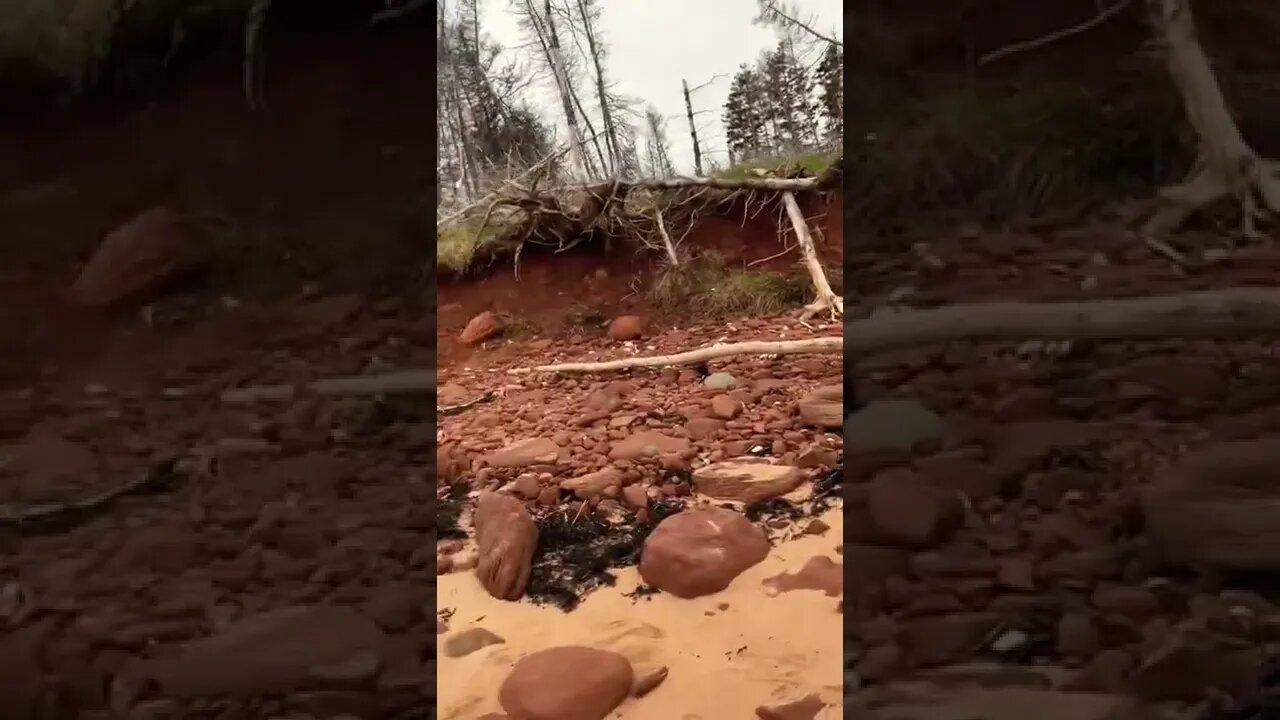 So much damage from erosion