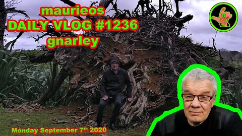 maurieos DAILY VLOG #1236 gnarley