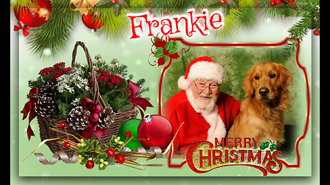 Woofs & Wags: Graphics for Furry Friends - Christmas 2023