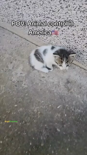 No one is safe anymore💀‼️