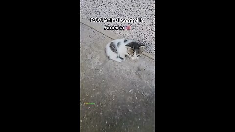 No one is safe anymore💀‼️