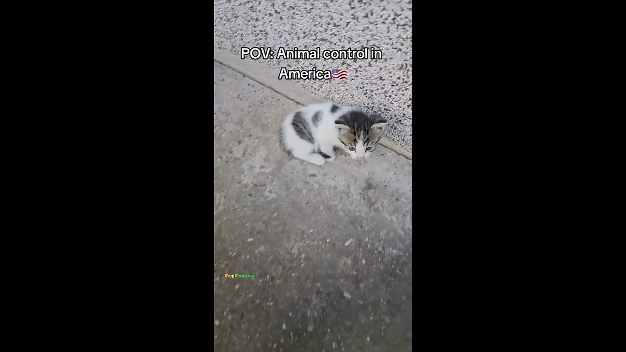 No one is safe anymore💀‼️