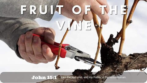 Fruit Of The Vine | Pastor Bickel | Bethel Baptist Fellowship [SERMON]