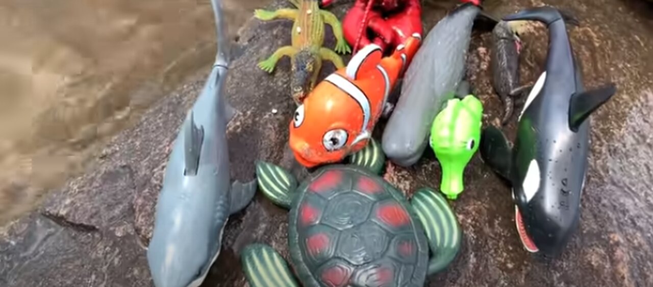 Sea Animal Toys This Summer at the Shore