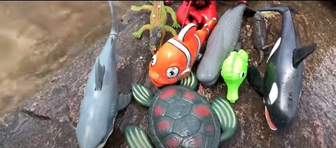 Sea Animal Toys This Summer at the Shore