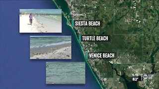 Sarasota County says red tide present on all its beaches