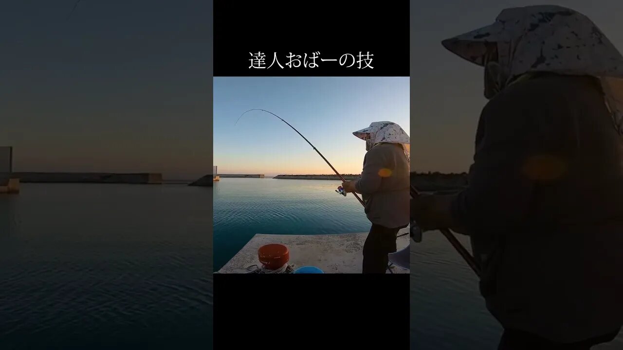 🎣達人おばーいつ見ても凄い #Shorts👏😎
