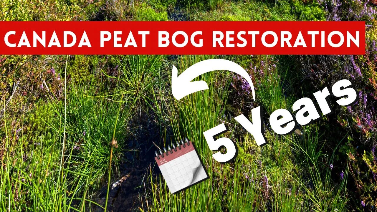 Why Canada is #1 in the World For Peat Bog Restoration. Our Method Is Being Taught Internationally.