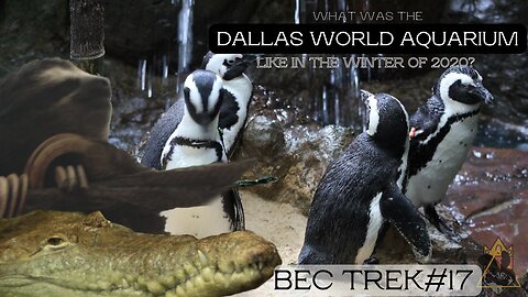 Visiting The Even MORE Hidden Gem of Dallas | End of Year Trip, 2020: Pt3 | BEC TREK Episode 17