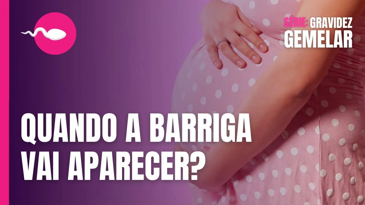 GRAVIDEZ DE GÊMEOS | Quando a BARRIGA vai começar APARECER? Quando os bebês COMEÇAM a se MEXER?