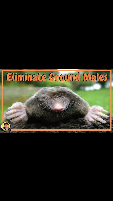 How to Easily Eliminate Moles - Works for Several Years