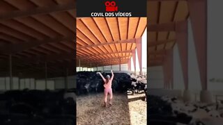 fazendeira nutella 😂