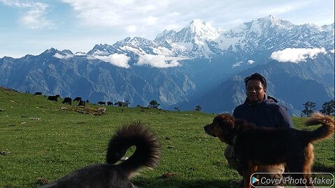 Shepherd life in village