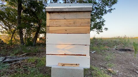 Converted langstroth frames to layens frames, honey on top.
