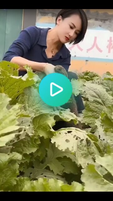 When Bugs Bunny ran out of carrots then was found in the cabbage patch.