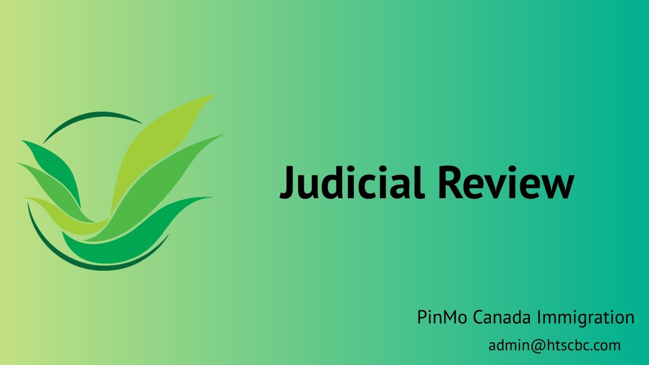 Judicial Review