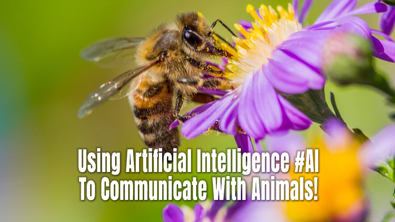 Using Artificial Intelligence #AI To Communicate With Animals!